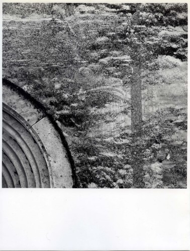 Chiesa Arcipretale di San Floriano in Pieve di Zoldo (positivo) di Alpago Novello, Adriano (metà XX)