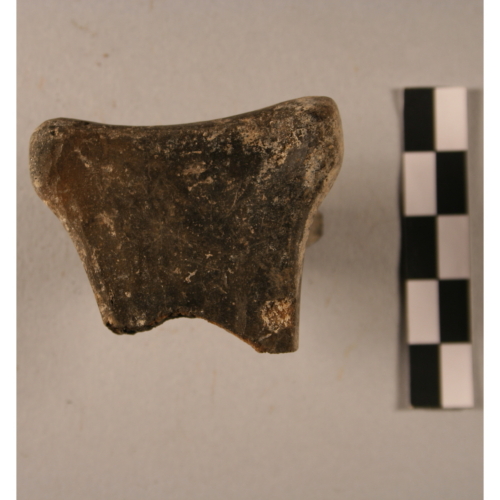 Presa (Età del Bronzo)