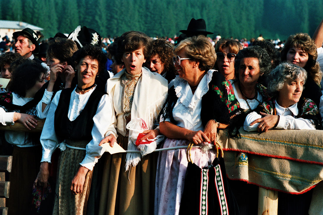 Fedeli - Val Visdende (negativo) di Ceolin, Elio (ultimo quarto sec. XX)