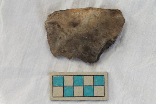 scodella/ frammento - Età del Bronzo recente/ ambito culturale centro-settentrionale/produzione locale (XIII secolo a. C. - prima metà XII secolo a. C.)