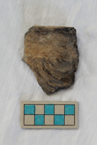 olletta/ frammento - Età del Bronzo recente/ ambito culturale centro-settentrionale/produzione locale (XIII secolo a. C. - prima metà XII secolo a. C.)