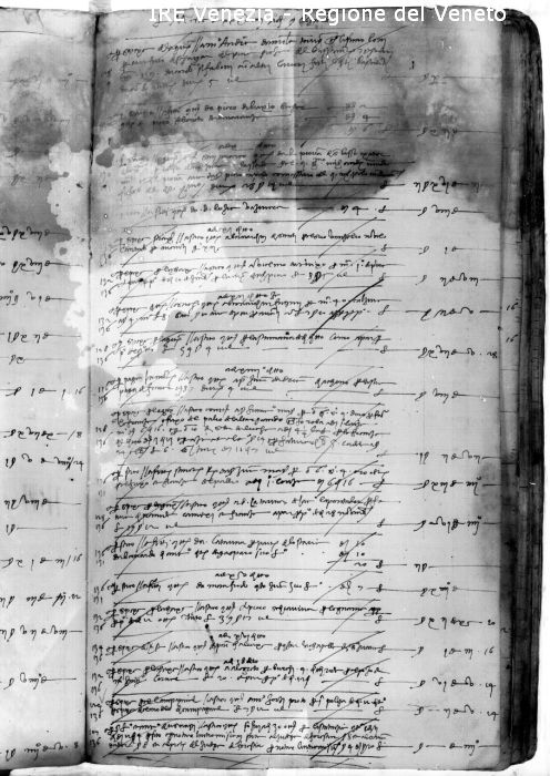 Venezia, riproduzione di manoscritto  di Filippi, Tomaso (XX)