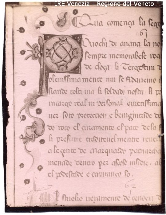 Miniature: capolettera, iniziale decorata, P (positivo) di Filippi, Tomaso (primo quarto 20)