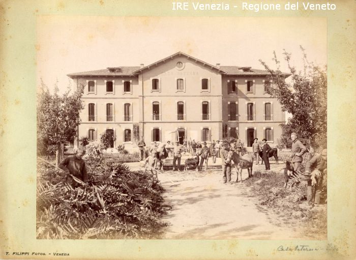 Venezia - Vita veneziana e lagunare - Attività pubbliche - Assistenza e Sanità - Congregazione di Carità - Casa Paterna al Lido - Persone - Giardinieri - Lavoratori agricoli - Carretto - Asino, vitello, capre  di Filippi, Tomaso (fine/ inizio XIX/ XX)