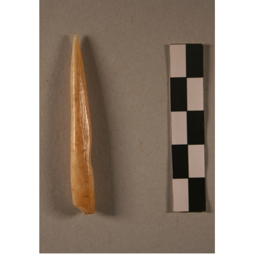 punta (Età del Bronzo)