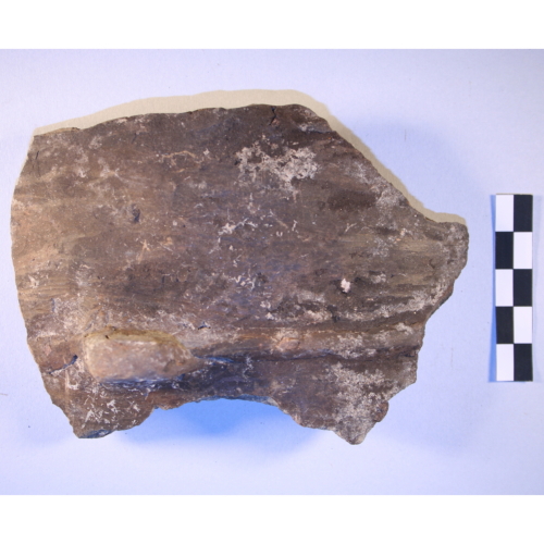 scodella (Età del Bronzo)