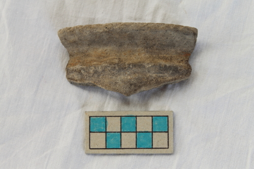 olletta/ frammento - Età del Bronzo recente/ ambito culturale centro-settentrionale/produzione locale (XIII secolo a. C. - prima metà XII secolo a. C.)