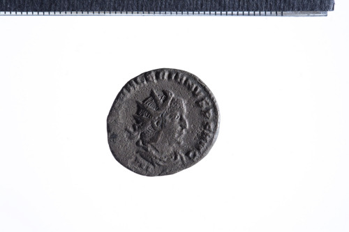 moneta - Antoniniano (terzo quarto III sec. d.C.)