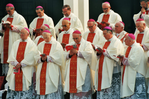 Papa Giovanni Paolo II - Verona (negativo) di Ceolin, Elio (ultimo quarto sec. XX)