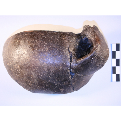 tazza (Età del Bronzo)