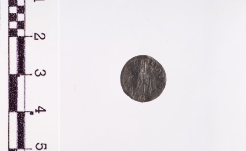 moneta - soldino (primo quarto sec. XVI d.C.)