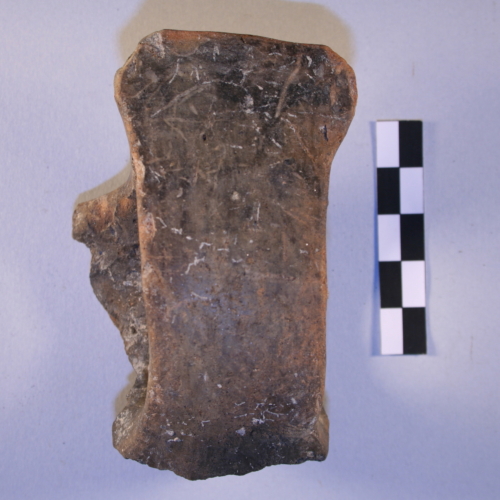 tazza (Età del Bronzo)