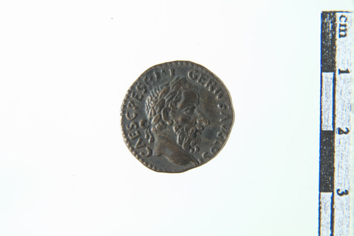 moneta (sec. XVIII- XIX d.C.)