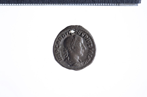 moneta - Denario (III sec. d.C.)