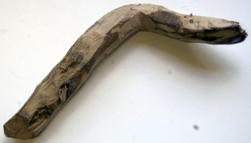 impugantura di falce fienaia (1940 circa)