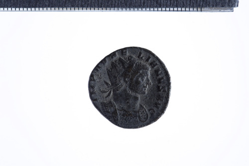 moneta - Antoniniano (terzo quarto III sec. d.C.)