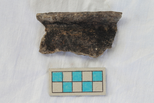 olletta/ frammento - Età del Bronzo recente/ ambito culturale centro-settentrionale/produzione locale (XIII secolo a. C. - prima metà XII secolo a. C.)