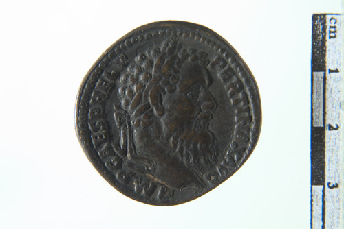 moneta (sec. XVI- XVIII d.C.)