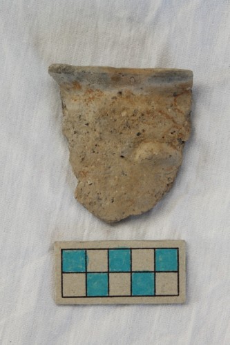 olletta/ frammento - Età del Bronzo recente/ ambito culturale centro-settentrionale/produzione locale (XIII secolo a. C. - prima metà XII secolo a. C.)