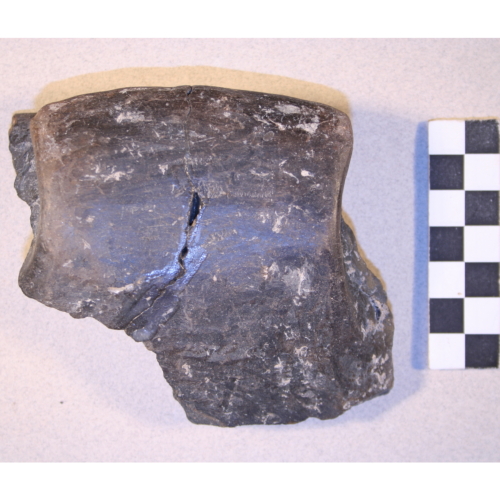 tazza (età del bronzo)