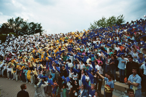Pubblico - Centro Papa Luciani - Santa Giustina (negativo) di Ceolin, Elio (ultimo quarto sec. XX)