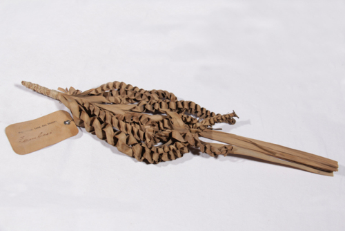 non definito - Bacino dello Zambesi (non definita)