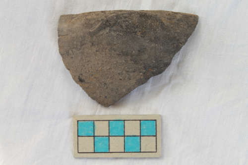 scodella/ frammento - Età del Bronzo recente/ ambito culturale centro-settentrionale/produzione locale (XIII secolo a. C. - prima metà XII secolo a. C.)