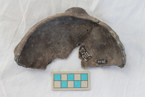 scodella/ forma parzialmente ricostruibile - Età del Bronzo recente/ ambito culturale centro-settentrionale/produzione locale (XIII secolo a. C. - prima metà XII secolo a. C.)