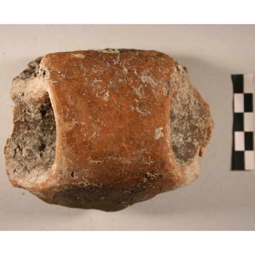 tazza (età del bronzo medio)