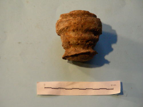 Resti di spoletta (sec. XX)