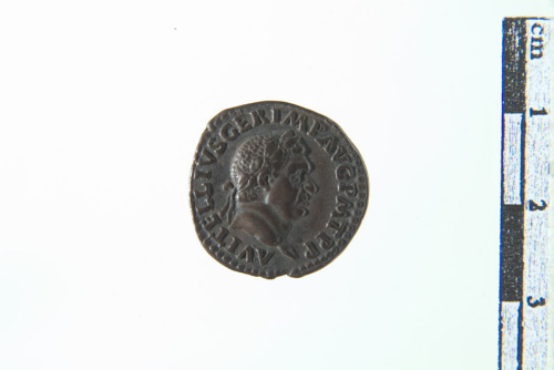 moneta (sec. XVIII- XIX d.C.)