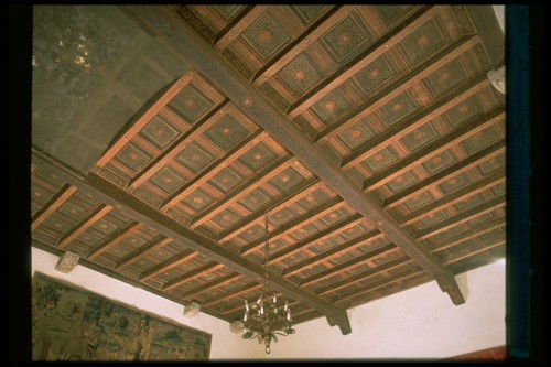 motivi decorativi (soffitto) - ambito Italia centrale (prima metà sec. XVI)