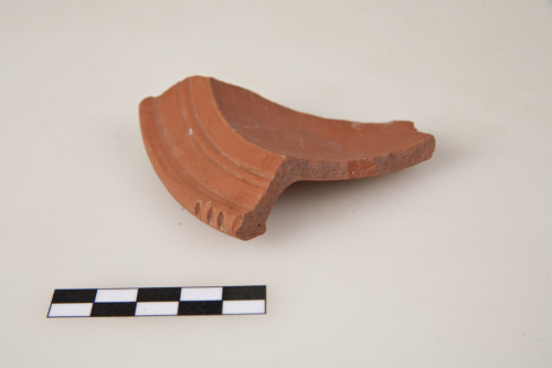coppetta/ parete, Hayes 76 - ambito culturale tardo-romano/produzione nord-africana (secc. IV-V d.C.)