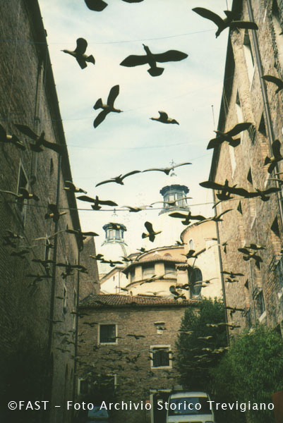Uccelli (positivo) di Bragaggia, Ettore (studio fotografico) (terzo quarto XX)