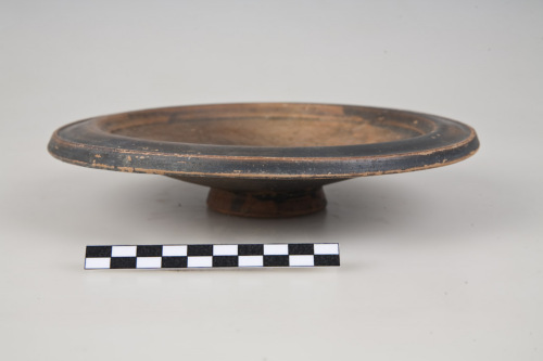 piatto, Morel 1432 a1/1441 a1; Lamboglia forma 6 - ambito culturale centro-settentrionale/produzione locale (secc. II-I a.C.)