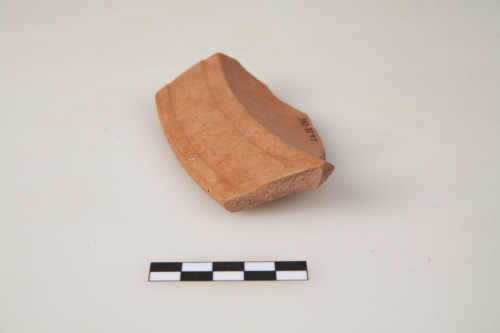 patera/ orlo, Lamboglia 51/51A - ambito culturale tardo-romano/produzione nord-africana (secc. IV-V d.C.)