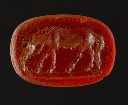 cavallo al pascolo (gemma, intaglio) - glittica romana (metà I sec. a.C.)