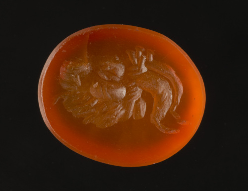 testa di caprone (gemma, intaglio) - glittica romana di prima età imperiale (I sec. d.C.)