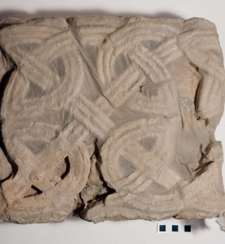 cornice/ frammento, cornice a mensola in terracotta con intreccio carolingio - Ambito culturale altomedievale/ carolingio (seconda metà sec. IX d.C.)