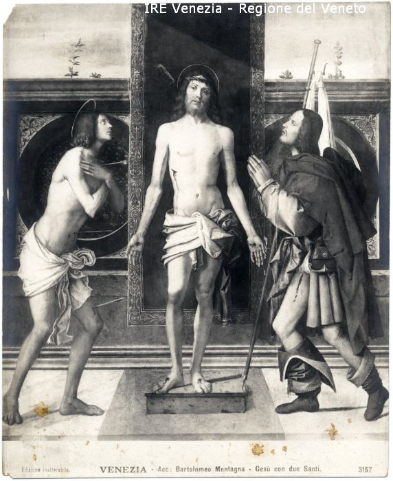 Dipinti (positivo) di Bartolomeo Montagna, Filippi, Tomaso (primo quarto 20)