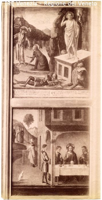 Documentazione storico-artistica, sec. XV-XVI (positivo) di Filippi, Tomaso (primo quarto 20)