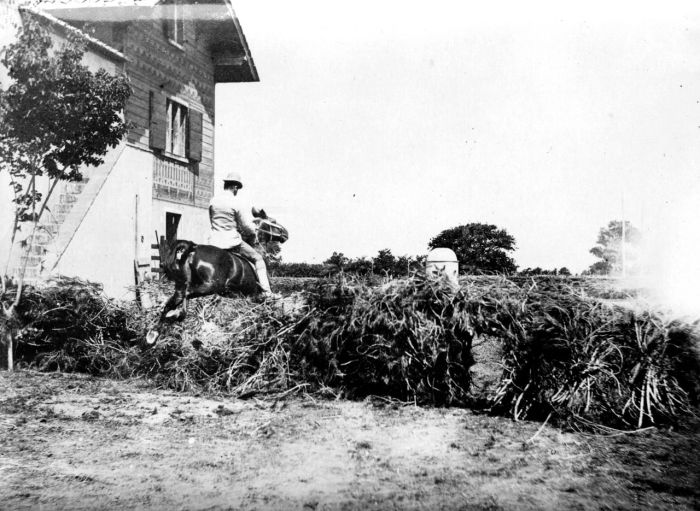 Società per la bonifica dei terreni ferraresi - Un uomo a cavallo che salta una siepe  di Filippi, Tomaso (fine/inizio XIX/ XX)