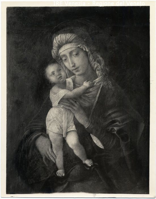 Documentazione storico-artistica, sec. XV-XVI (positivo) di Filippi, Tomaso (primo quarto 20)