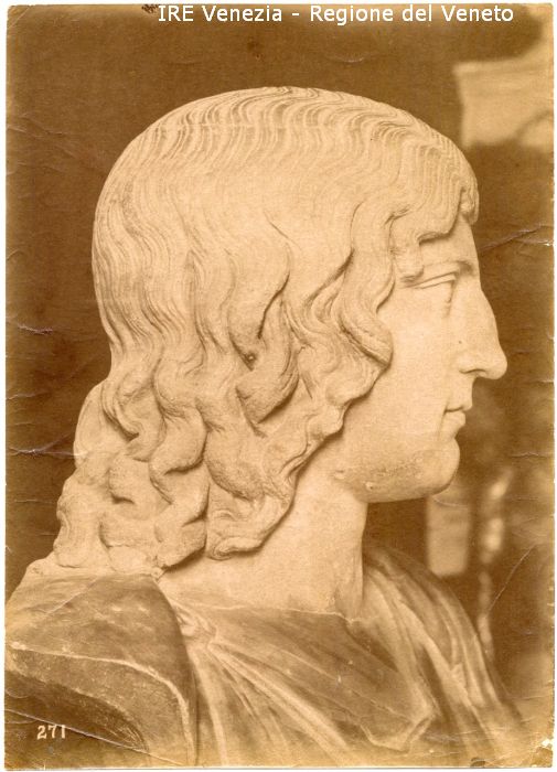 Busto, ignoto, profilo, n. 271 (positivo) di Filippi, Tomaso (fine 19)