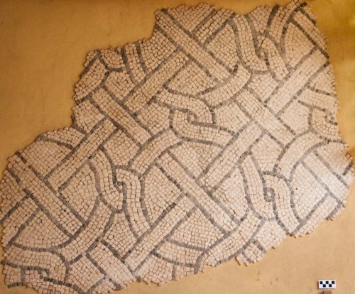mosaico, mosaico pavimentale altomedievale/ carolingio - Ambito culturale altomedievale/ carolingio (inizio sec. IX d.C.)