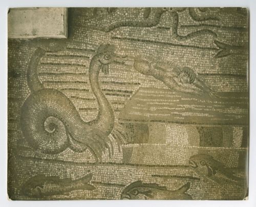 Pavimenti - Mosaici - Basilica di Santa Maria Assunta <Aquileia> (positivo) di Anonimo (attr.) (prima metà XX)