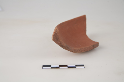 piatto/ parete, Hayes 61 - ambito culturale tardo-romano/produzione nord-africana (secc. IV-V d.C.)