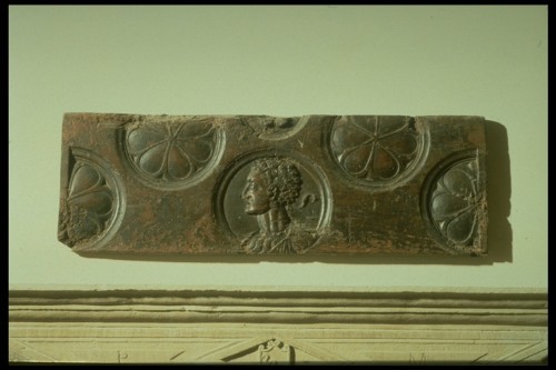 testa clipeata/ motivi decorativi (formella, elemento d'insieme) - bottega padovana (prima metà sec. XVI)
