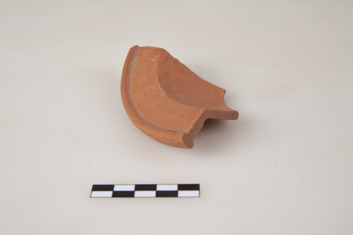 coppetta/ parete, Hayes 76 - ambito culturale tardo-romano/produzione nord-africana (secc. IV-V d.C.)