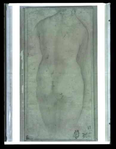 Disegni - Nudo femminile - 1942 ca. (negativo) di Anonimo (prima metà XX)